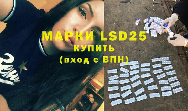 шишки Аркадак