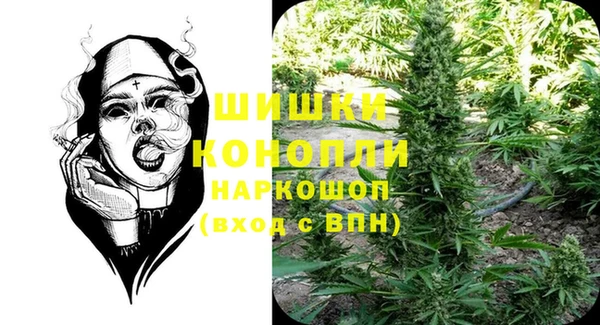 шишки Аркадак