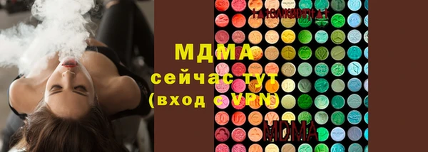 шишки Аркадак