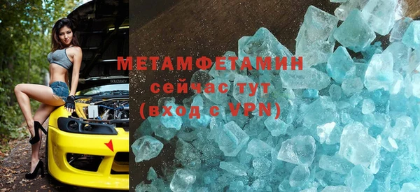 шишки Аркадак