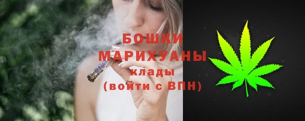 шишки Аркадак
