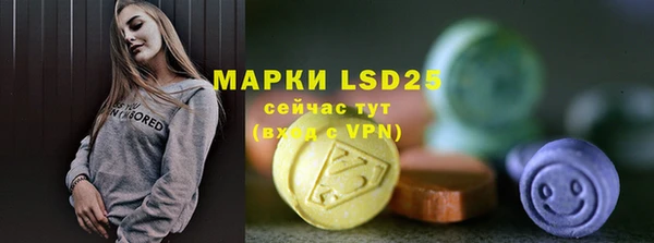 ГАЛЛЮЦИНОГЕННЫЕ ГРИБЫ Арсеньев