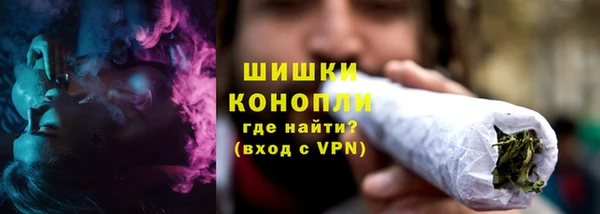 ГАЛЛЮЦИНОГЕННЫЕ ГРИБЫ Арсеньев