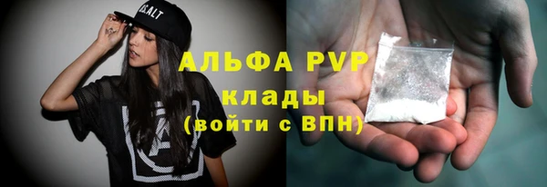 шишки Аркадак