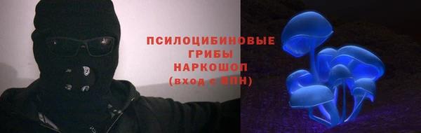 шишки Аркадак