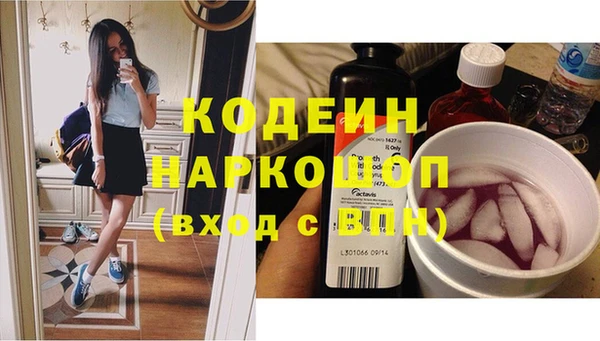 шишки Аркадак