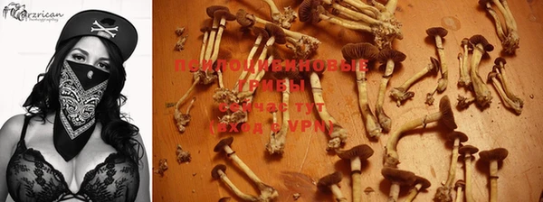 синтетический гашиш Армянск