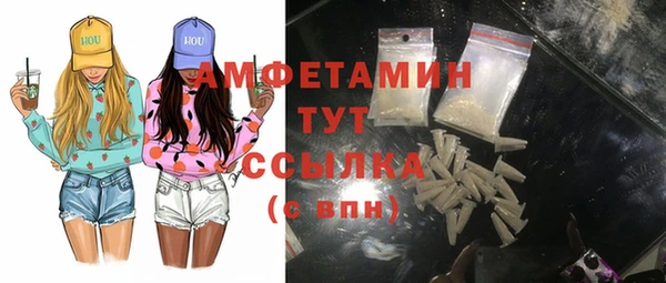 шишки Аркадак
